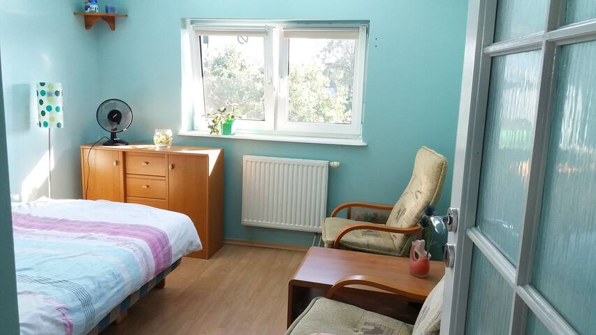 Turquoise room at Mackiewicz
