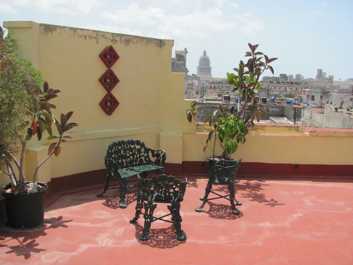 A spacious rooftop terrace features decorative metal seating surrounded by potted plants. The view includes historic buildings in the distance, highlighting the dome of the Capitol. The bright sky enhances the welcoming atmosphere of the outdoor space.