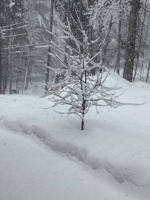 The view outside your bath window in winter.