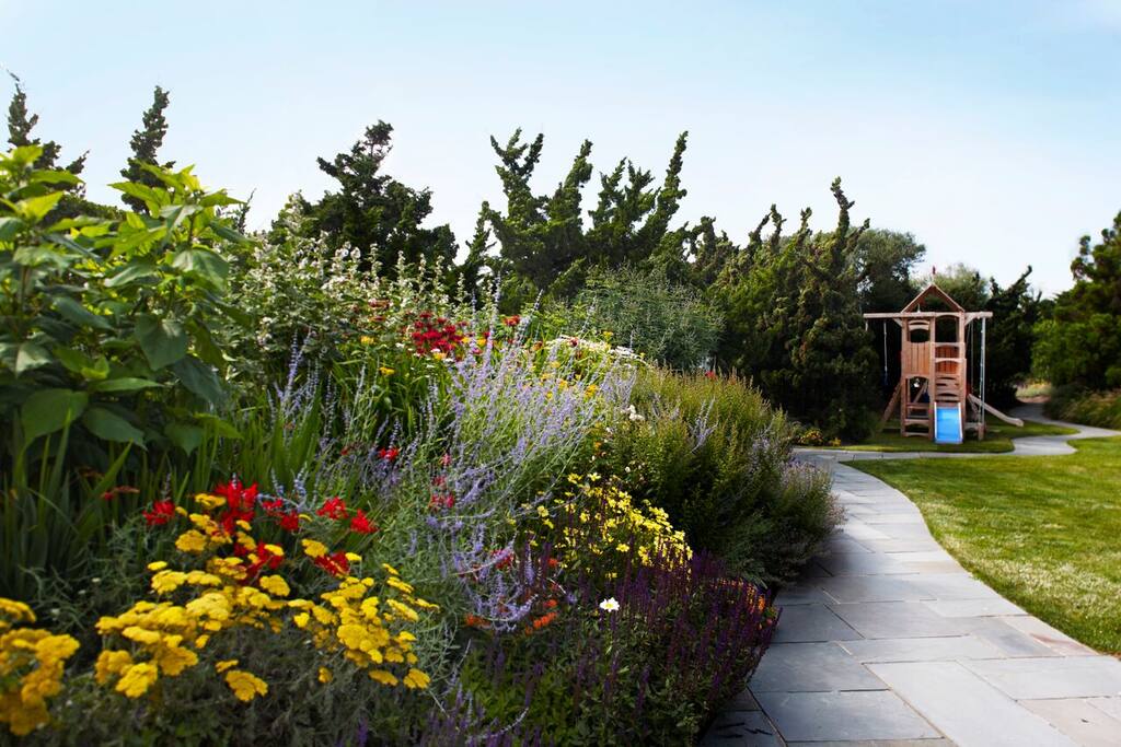 Garden in bloom