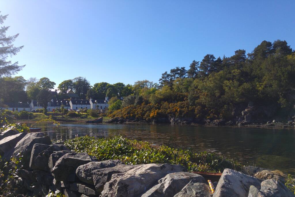 View from garden
