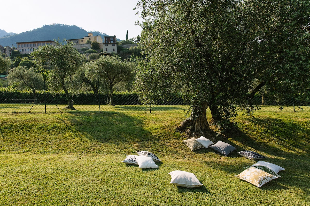 A serene outdoor space is depicted, featuring several decorative pillows arranged on a grassy area beneath a sprawling olive tree. The backdrop showcases rolling hills and a distant building, evoking a peaceful atmosphere within the lush surroundings.