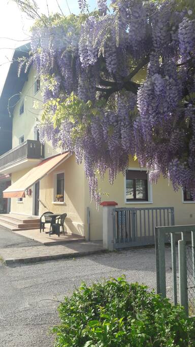 PARTICOLARE DELLA CASA