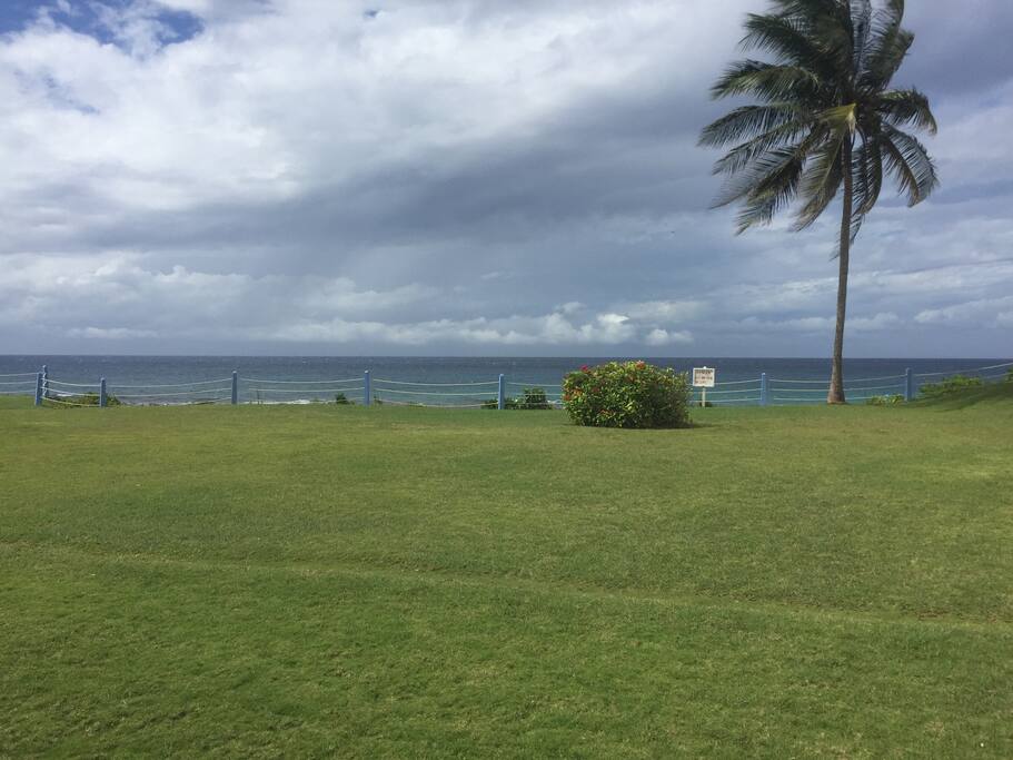 Room view