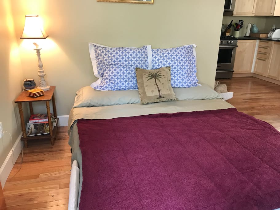 Comfortable pull out queen couch/bed. No bar in the middle!