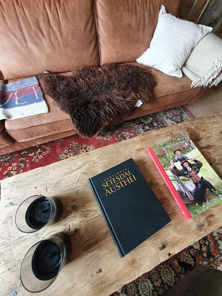Качете се на каучот за да разгледате некои од нашите локални книги.
