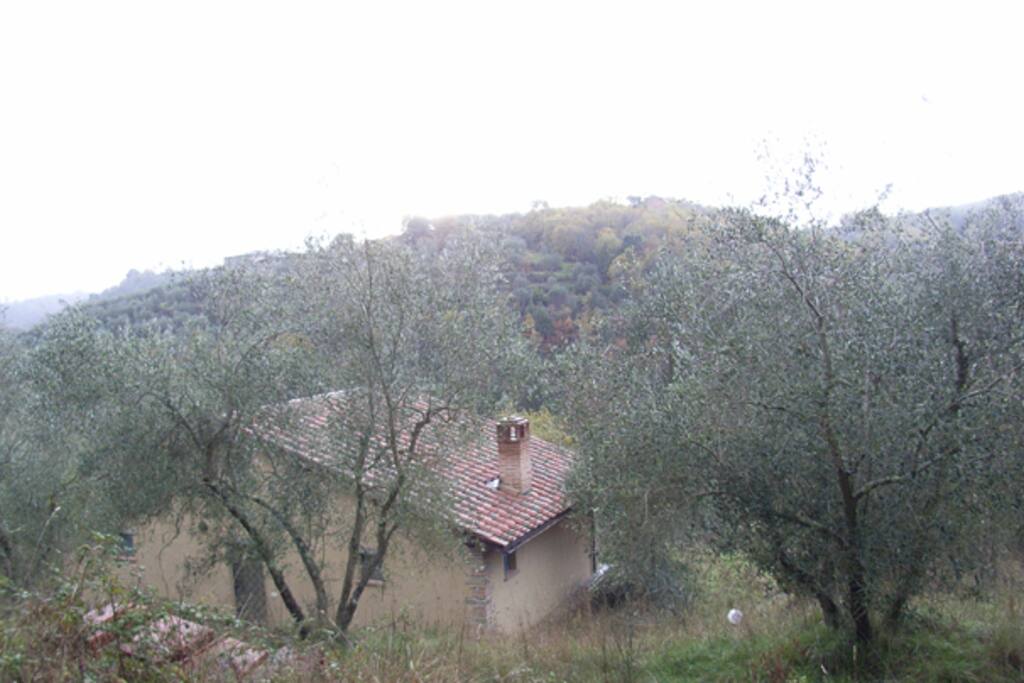 Valley view