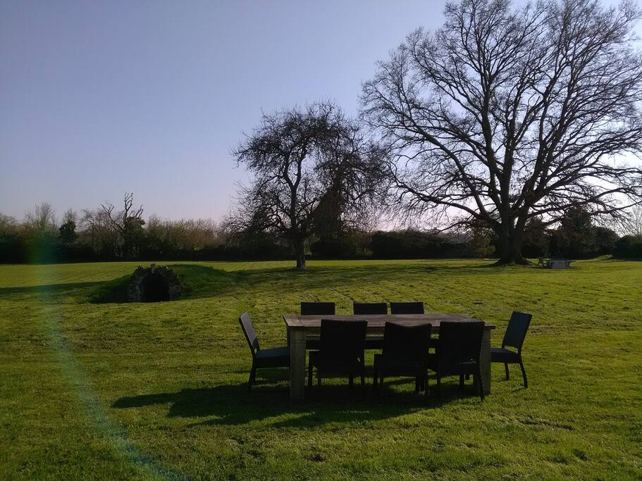 The garden seen from the house