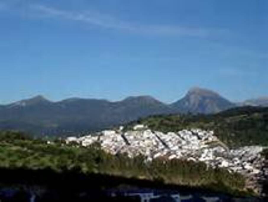 Prado Del Rey