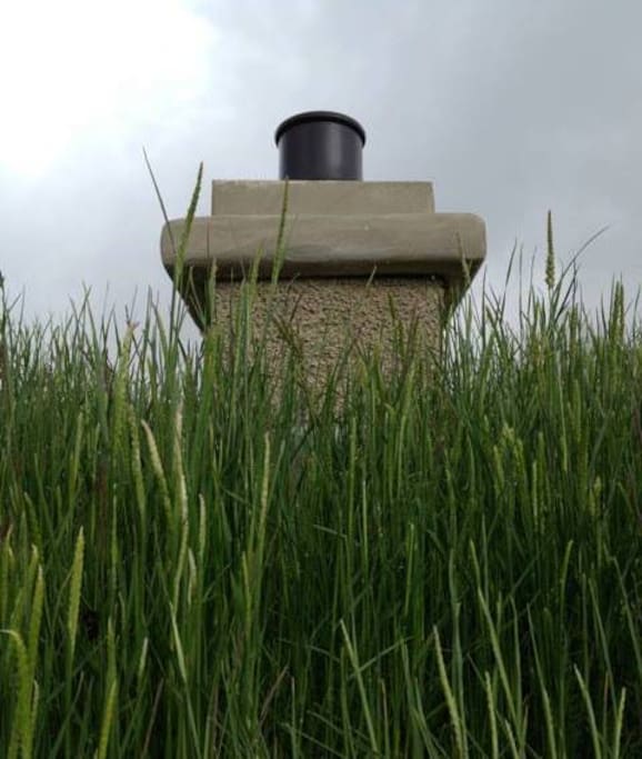 Wildflower green roof over the rebuilt byre.
Flowers May to September