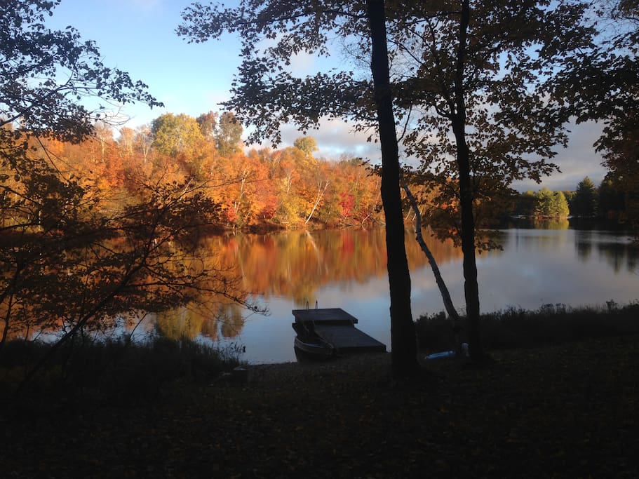 Fall colours