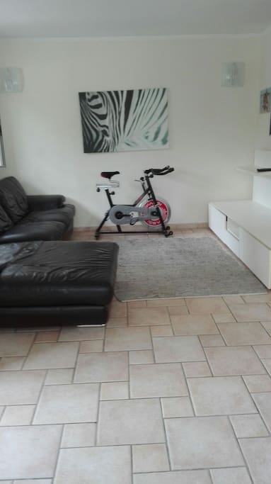 living Room Spinning Bike