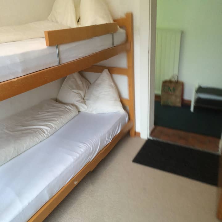 Kitanda cha nyumba ya mbao ndani ya chumba chenye bafu na choo