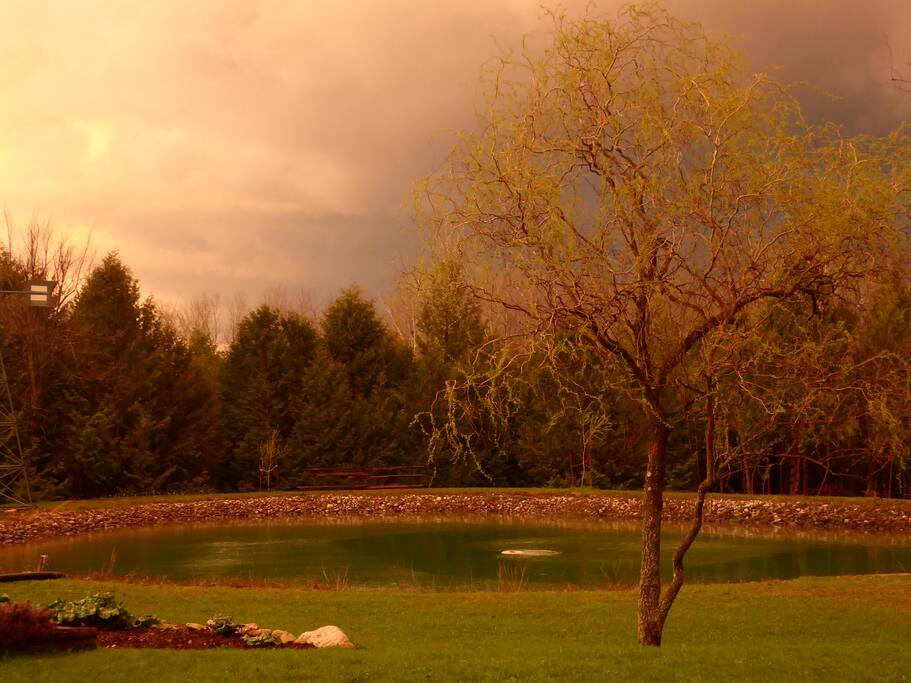 Ghentle Trees B&B