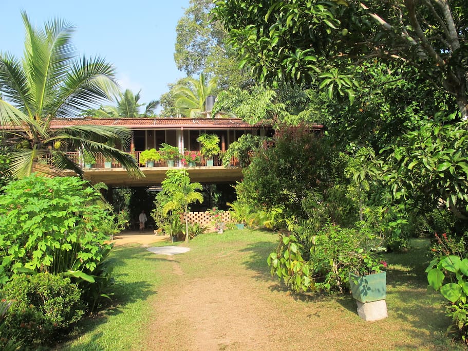 The elevated rooms are level with the canopy of trees giving the feeling of being in a tree house.