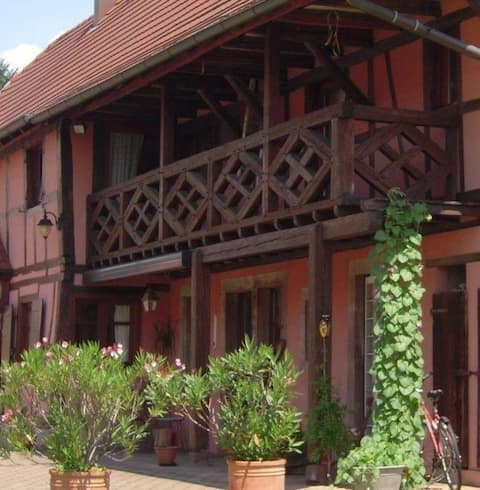 Charming and quiet Alsatian house