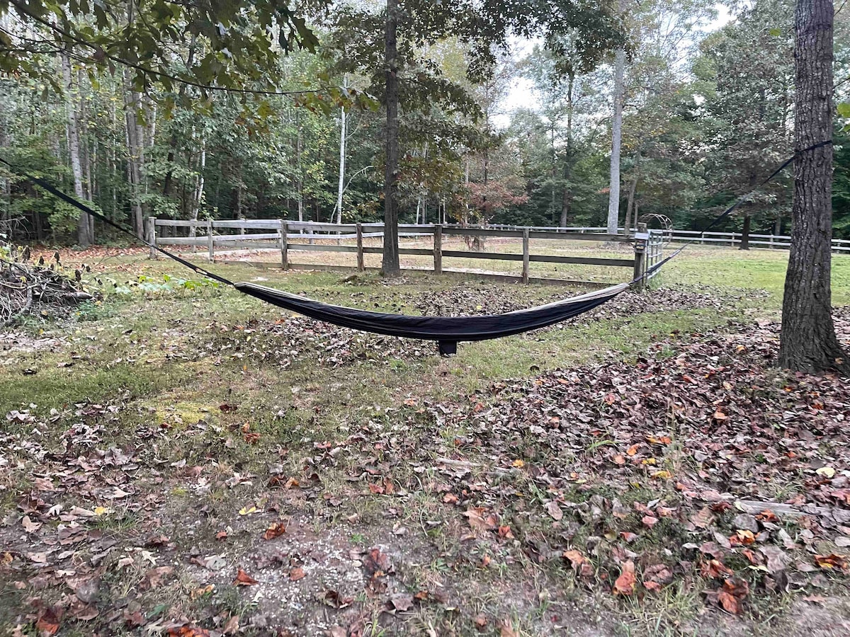 A black hammock is suspended between two trees in a serene outdoor setting. Fallen leaves cover the ground, and a wooden fence encloses the area, surrounded by trees. The scene reflects a peaceful, rustic atmosphere, ideal for relaxation in nature.