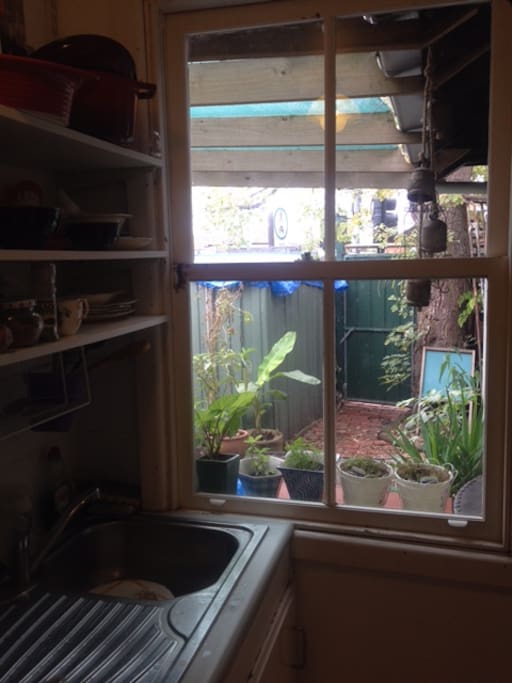 View from kitchen