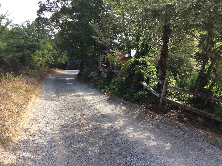 Driveway to Studio