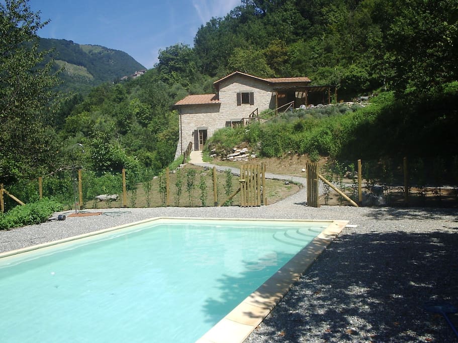 Pool with house in background