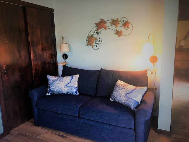 带沙发床的起居区