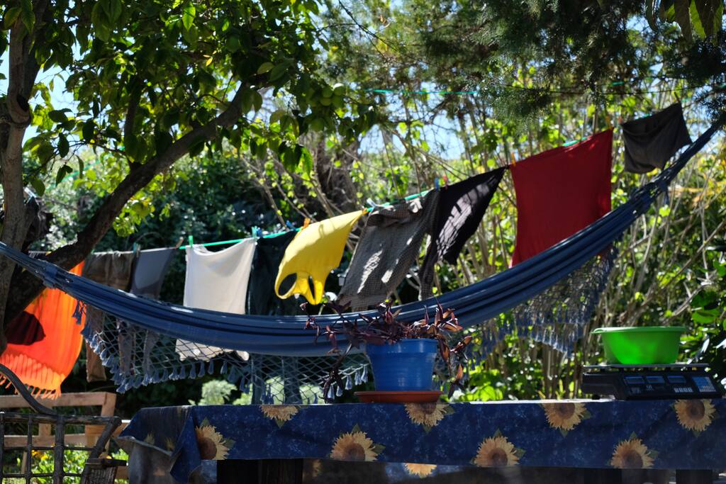 Patio con sol y descanso (hamaca)/patio with sun and rest (hammock)