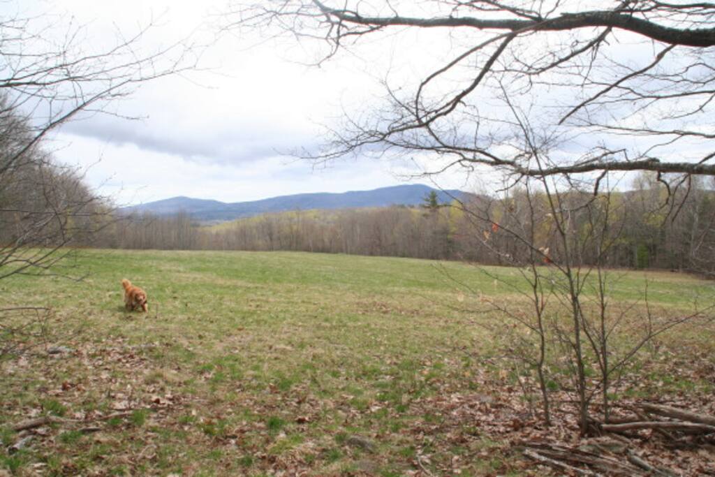 the view from one of our fields