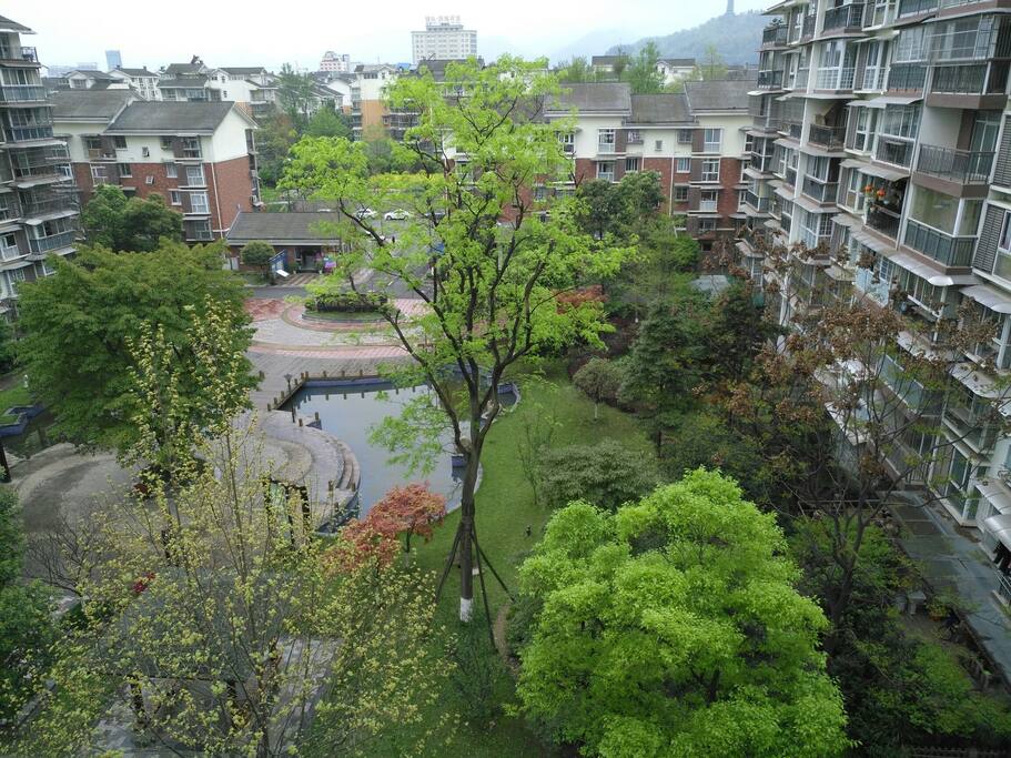 临窗美景