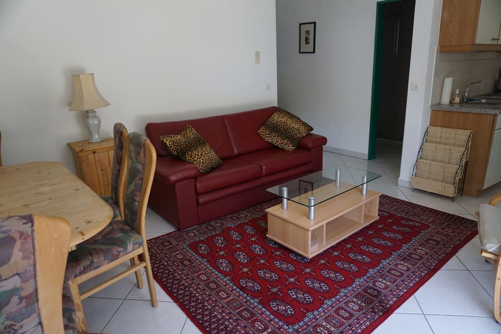 Living area with small double sofa bed