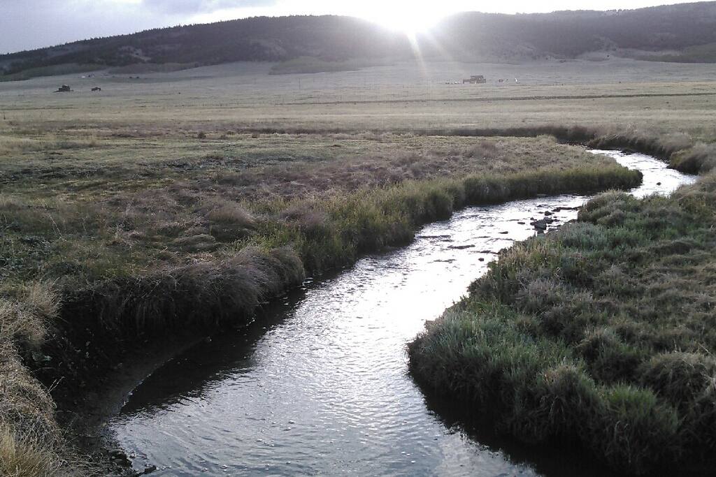 Creek through the 75 acre property!