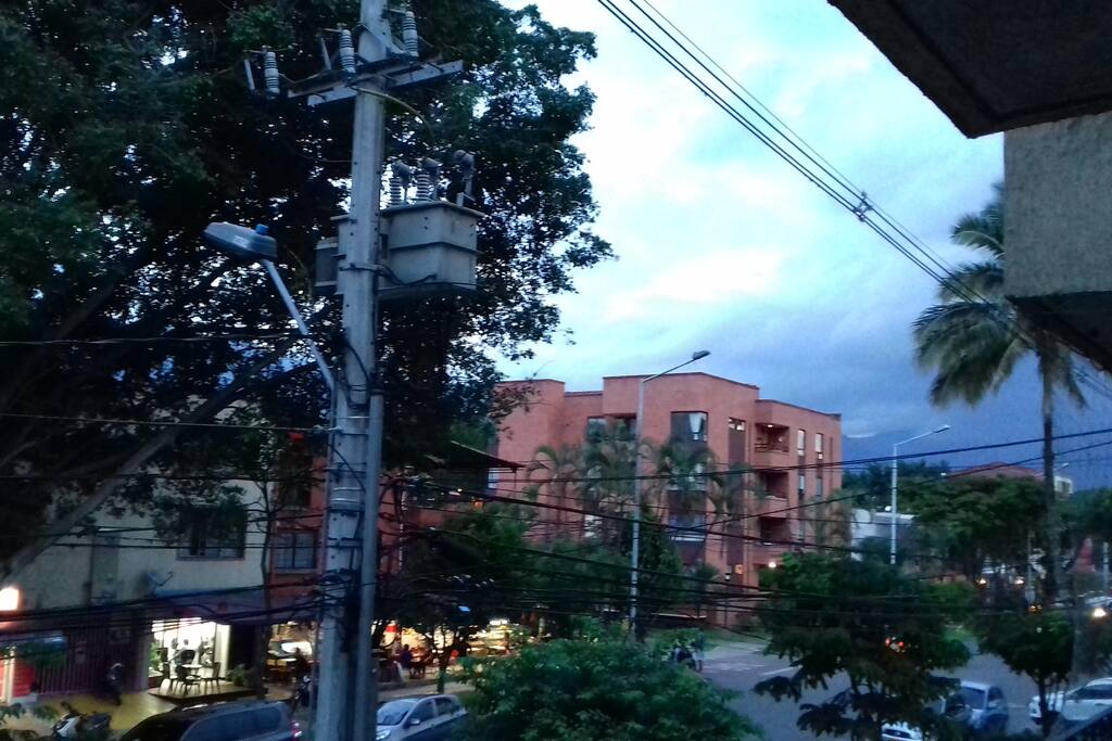 Vista desde la habitación