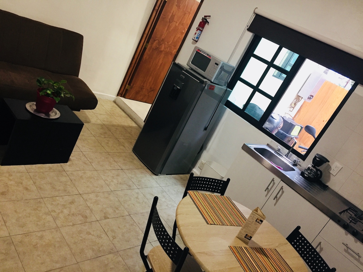 A compact living space includes a brown sofa and a round dining table set with colorful placemats. A small potted plant sits on a low black table. Stainless steel appliances, including a refrigerator, are visible, while large windows provide natural light to the area.