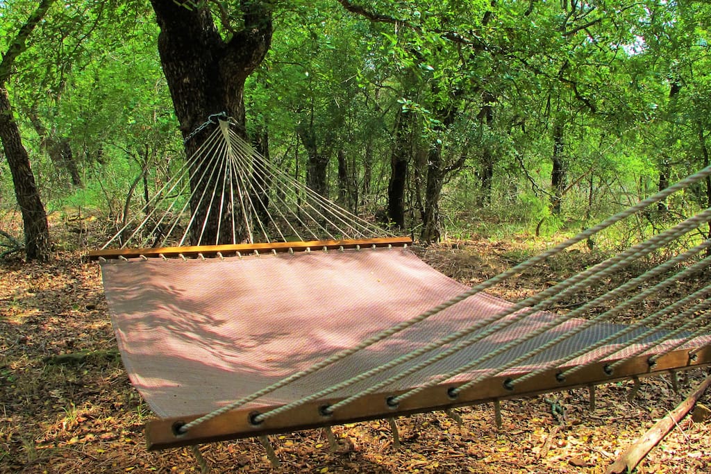 Private hammock to rest on