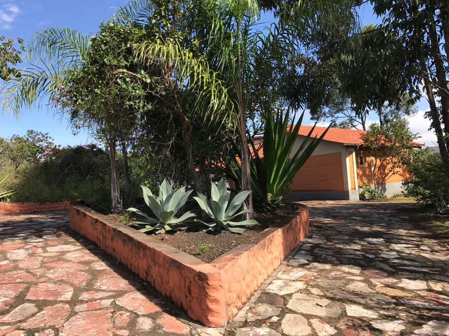 The house welcomes you with a vescica garden