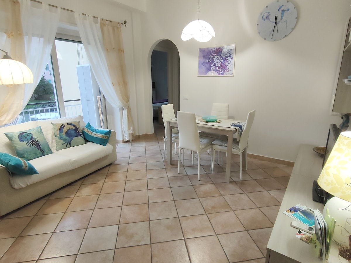 Successful Airbnb property: 'Odette's house'- Wifi/aircond- It010046C2OXXDYP89 in Rapallo