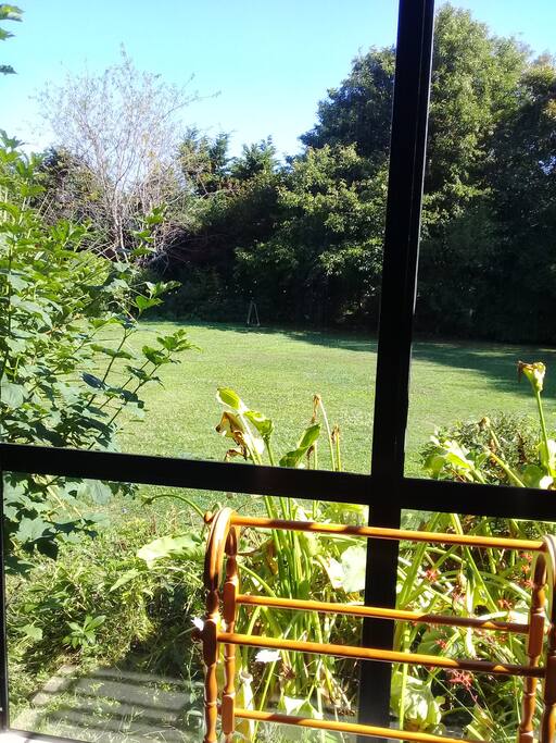 Looking out from bedroom.