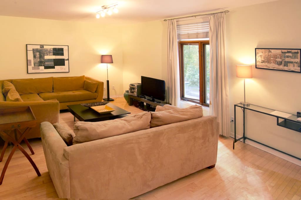 Livingroom, sofa, TV, pullout sofa bed