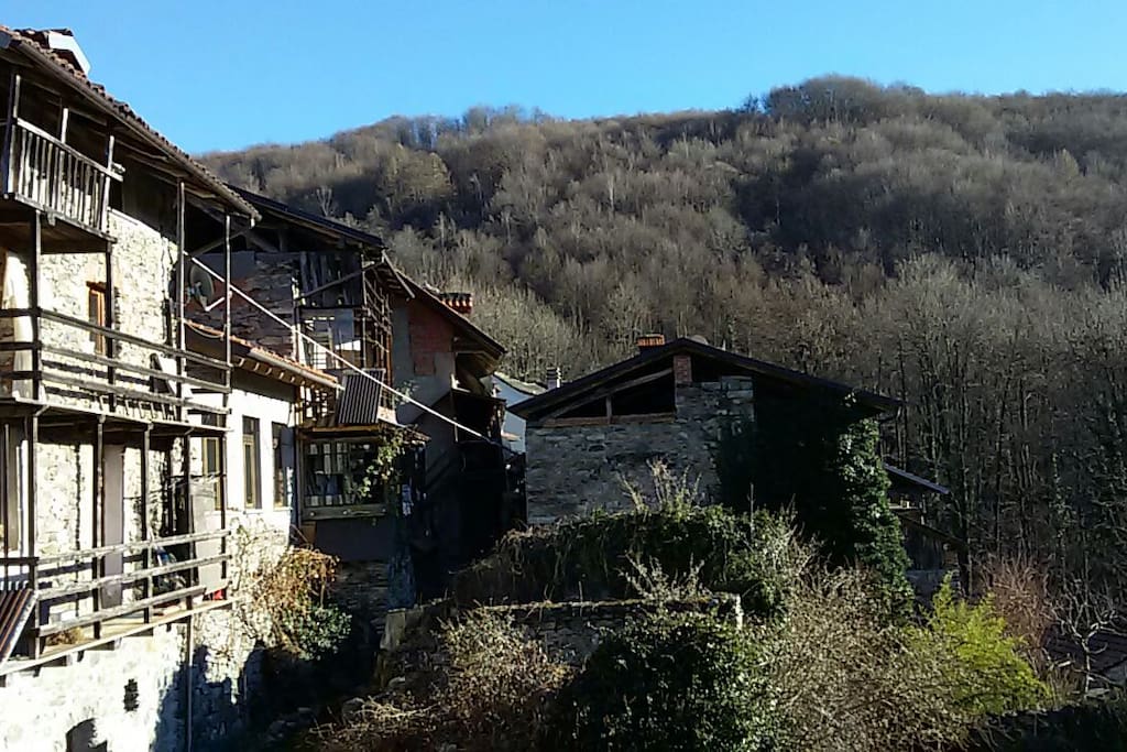 View of house