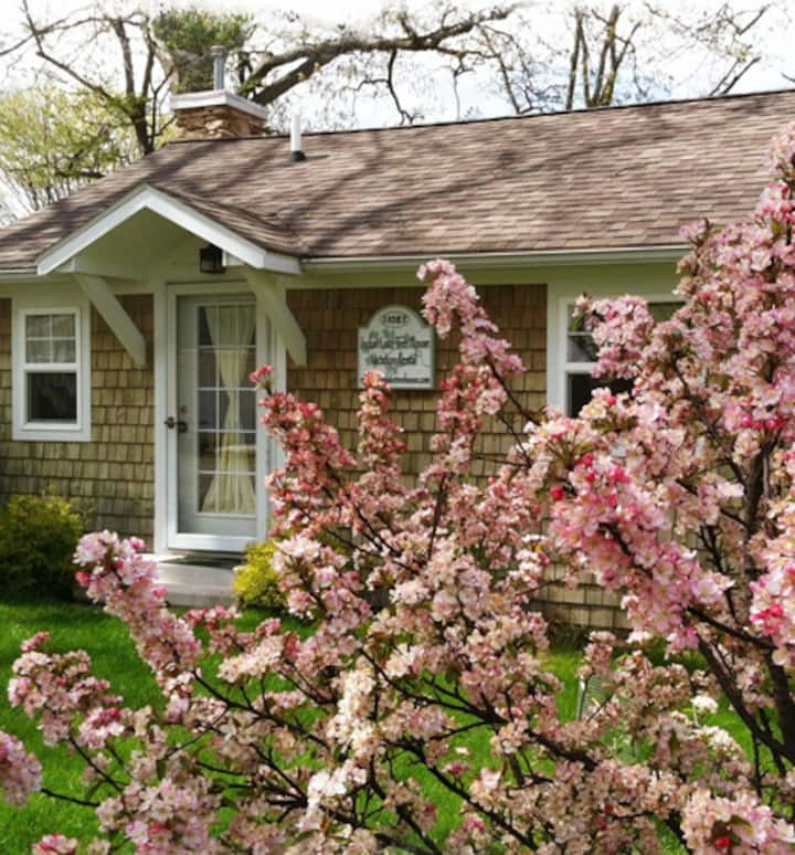 Indian Lake Treehouse Waterfront Cottage Cottages for Rent in Lakeview, Ohio, United States