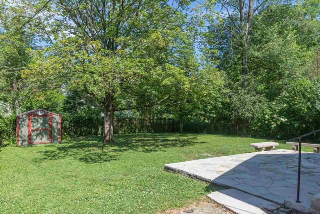 The backyard