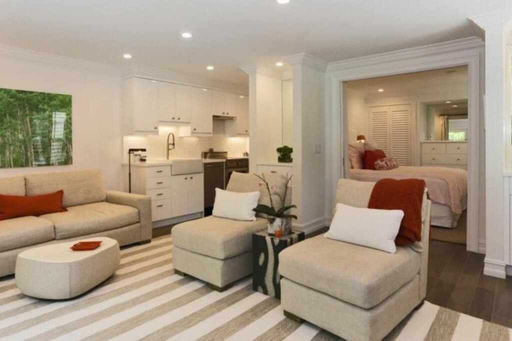Living room/Bedroom has pocket doors