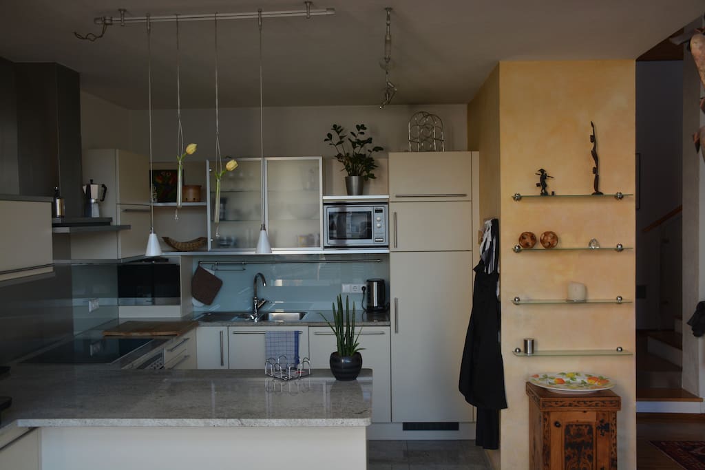 Moderne Küche mit Dampfgarer, Backofen, Geschirrspüler und Mikrowelle.