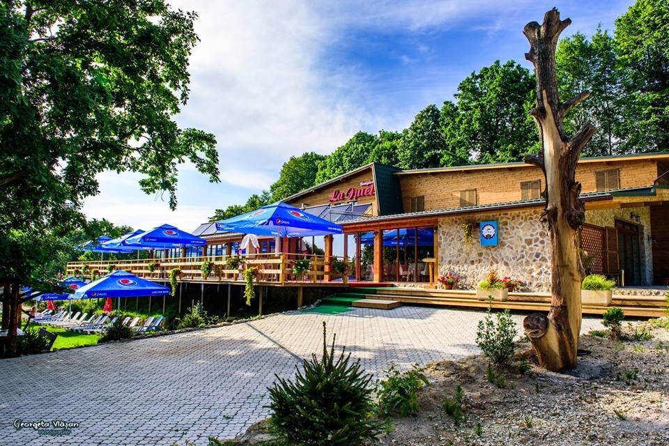 A comfortably designed building features large outdoor seating areas with umbrellas. Surrounding greenery adds to the natural setting, while a stone pathway leads up to the entrance. A sculpted tree trunk stands prominently in the foreground, enhancing the rustic charm of the location.