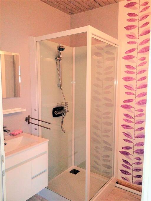 Chambre F : Salle de bain (avec WC) privative