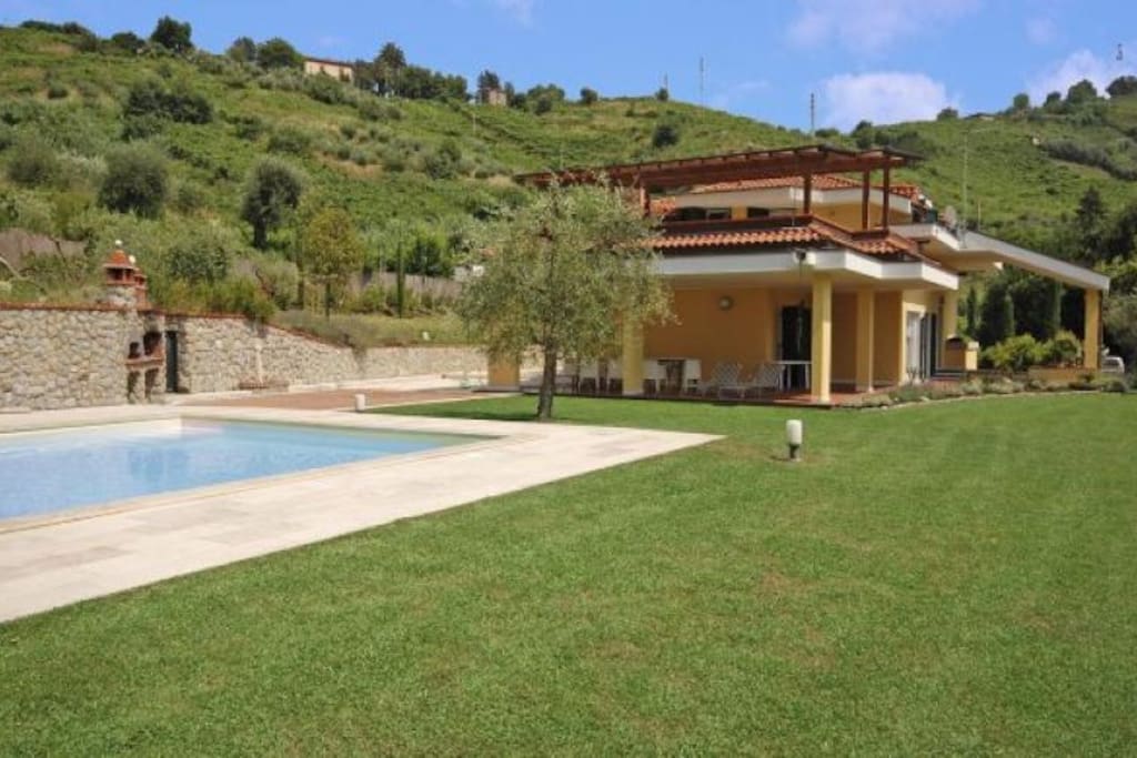 swimming pool, garden