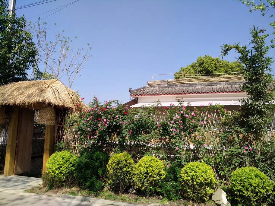 汰泊大门