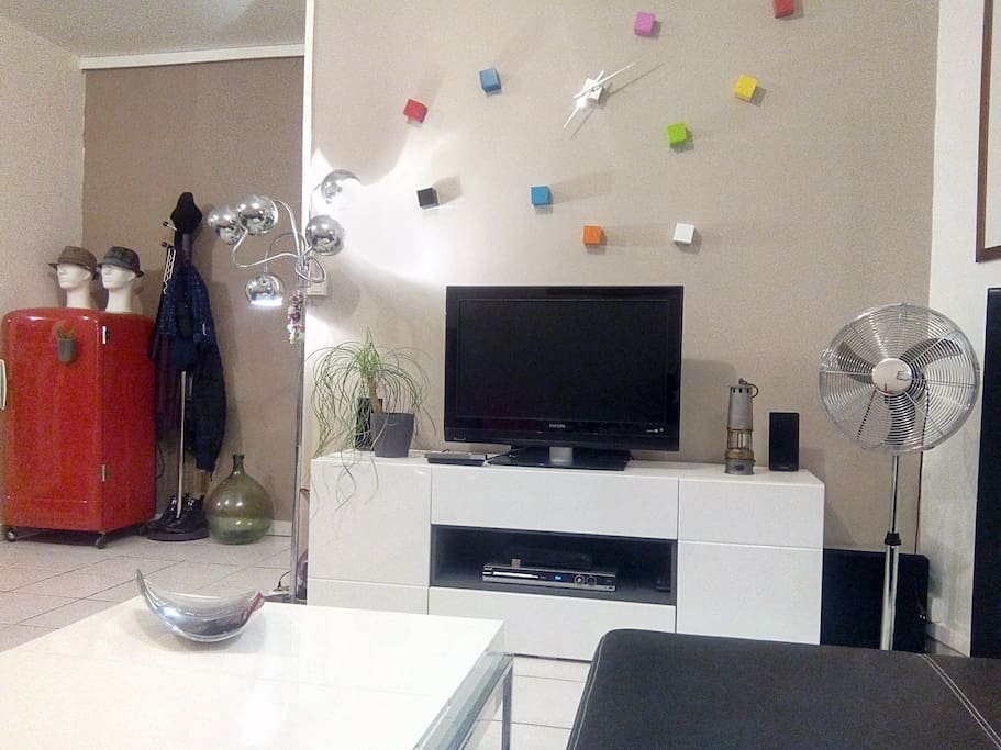 salon avec tv
