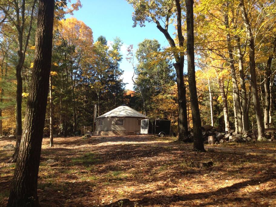 Nestled in the woods.