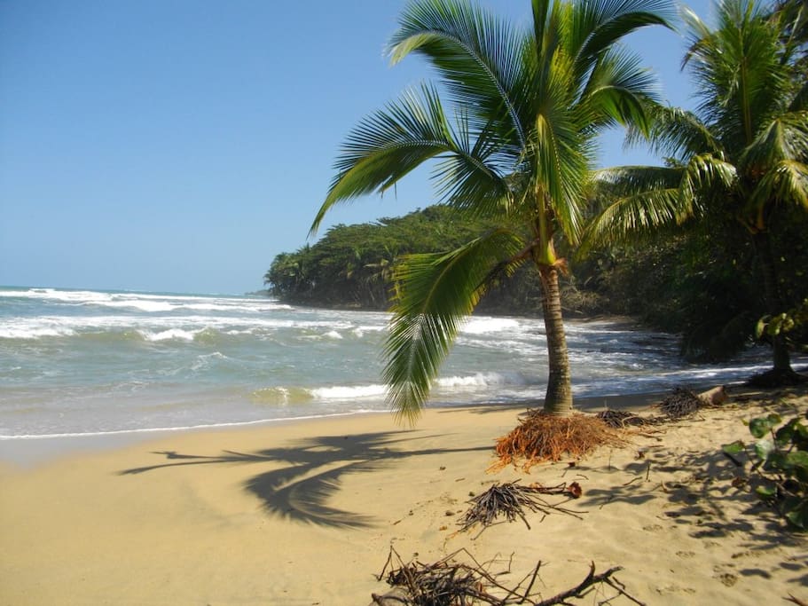 Playa Cocles