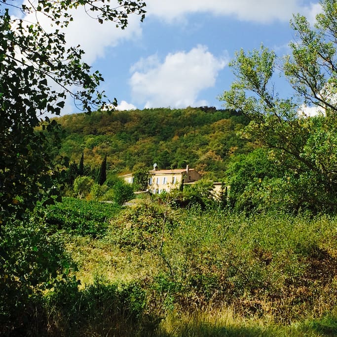 The farmhouse from the vineyards.